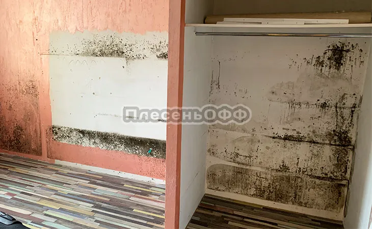 Фото до удаления плесени