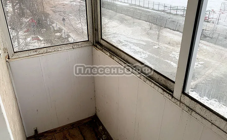 Фото до удаления плесени