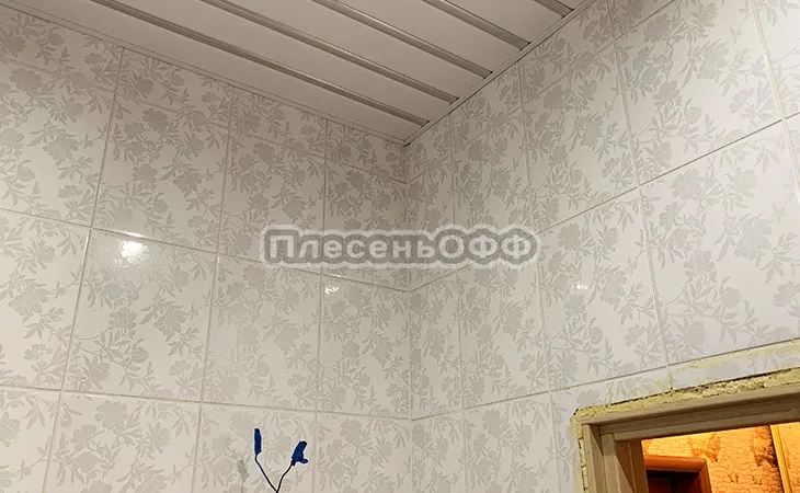 Фото после удаления плесени