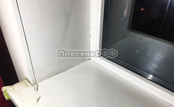 Фото после удаления плесени