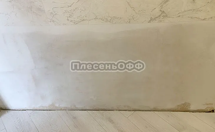 Фото после удаления плесени