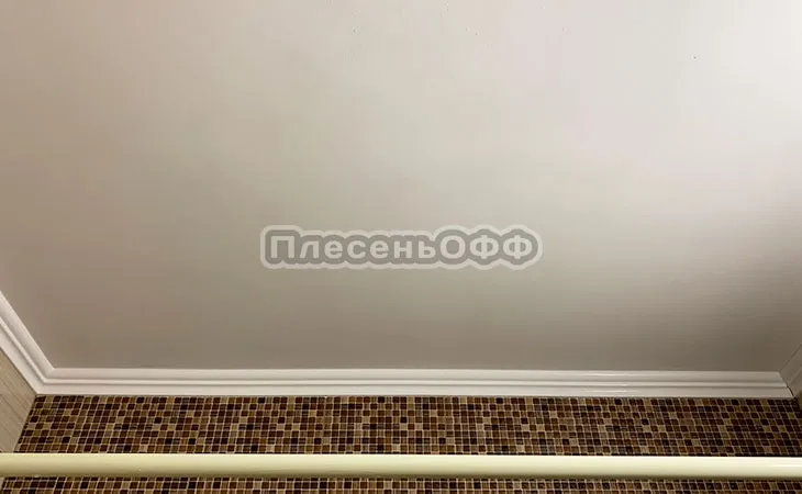 Фото после удаления плесени